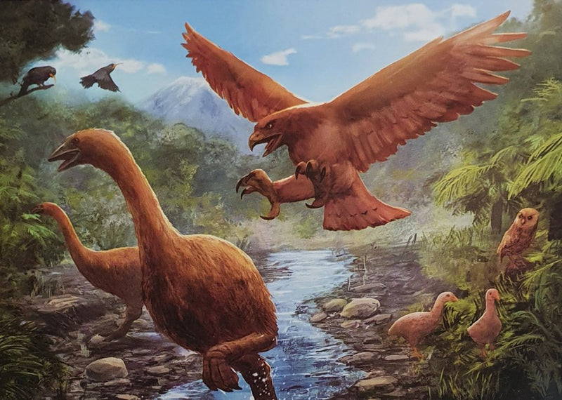 30 Piece Frame Tray Puzzle - Moa & Haast eagle