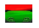 Large Dragon Shield Playmat with Border