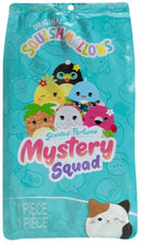 Squishmallows 5" Scented Mystery Squad Series 15