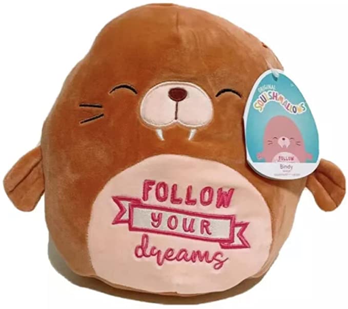 Squishmallows 12 inch Inspirational Message - Follow Your Dreams