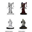 D&D Nolzurs Marvelous Unpainted Miniatures Green Hag & Night Hag