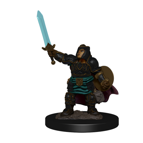D&D Miniature Figurine - Prepainted