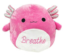 Squishmallows 16 inch Calm Assortment